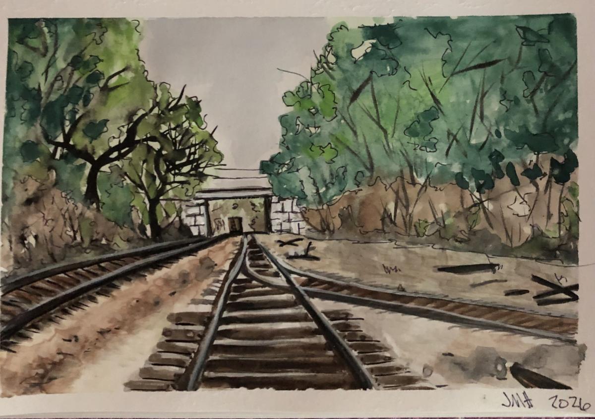 tracks