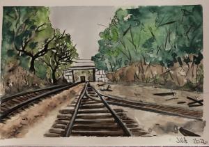 tracks